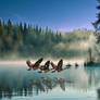 Dawn