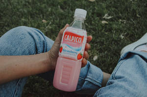 Bebida Calpis/Calpico