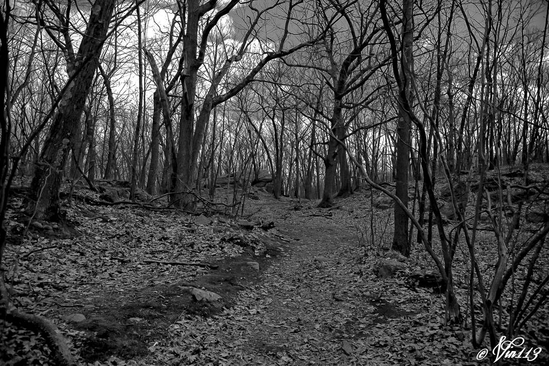The Path Less Taken-1 by vin113 on DeviantArt