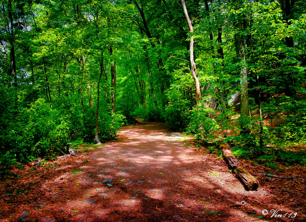 Path 46 Chosen Path 3-1 by vin113 on DeviantArt