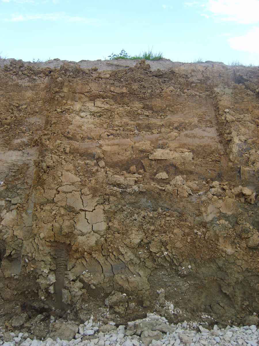 soil stock