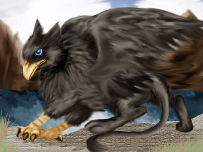 Black Gryphon