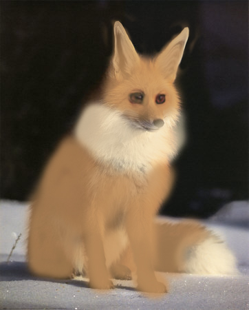 Real eevee