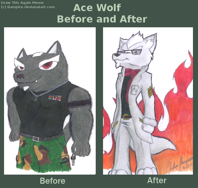 Ace Wolf Before and After