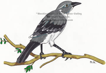 Mockingbird in Markers