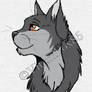 Graystripe