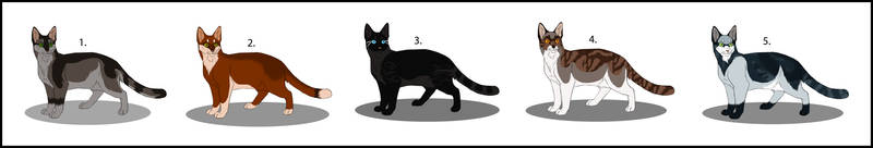 Point Adopts Cats || Open