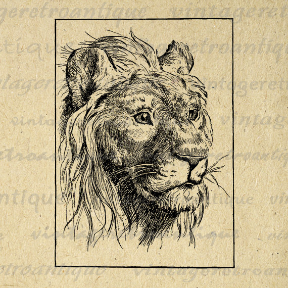 Antique Lion Digital Graphic No.445