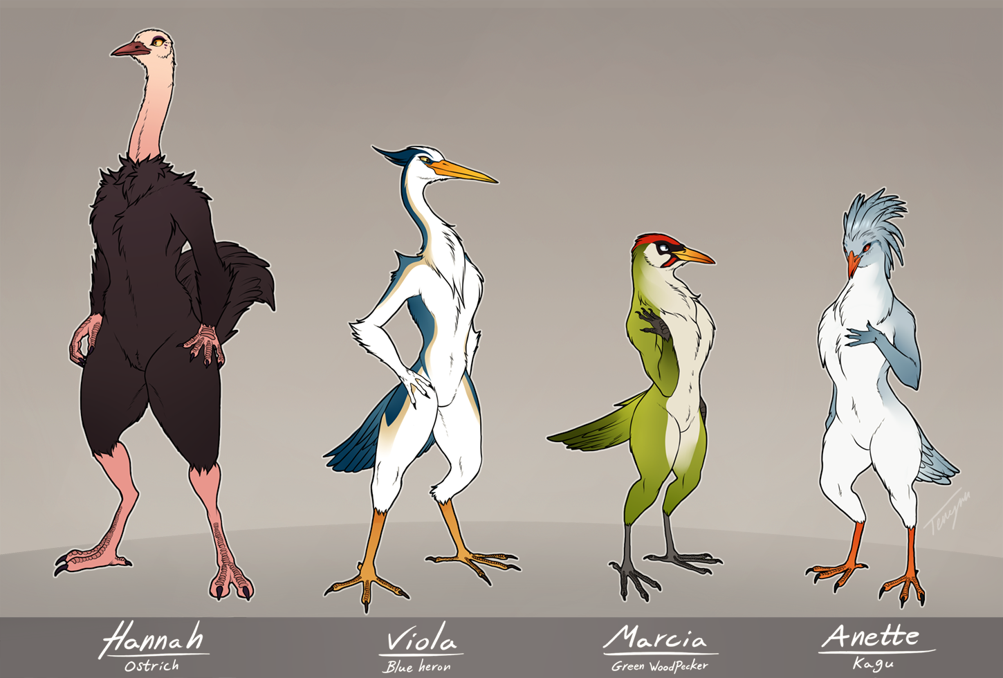 Deviantart Bird Designs Bird-design lineup by Tenynn on DeviantArt