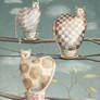 Cats in Cups