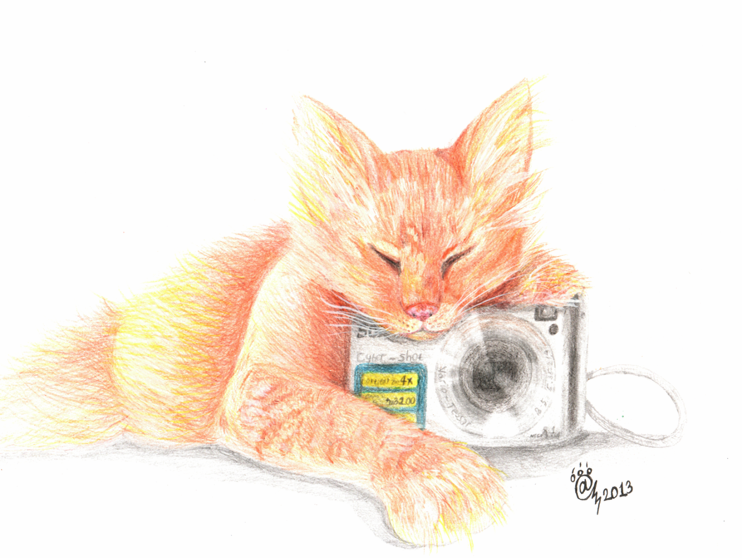 Simba with photo camera