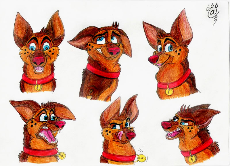 Chester Expressions