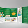 School Trifold Brochure