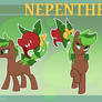 Nepenthes Reference