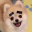derp