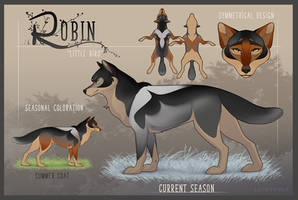 Robin Reference Sheet