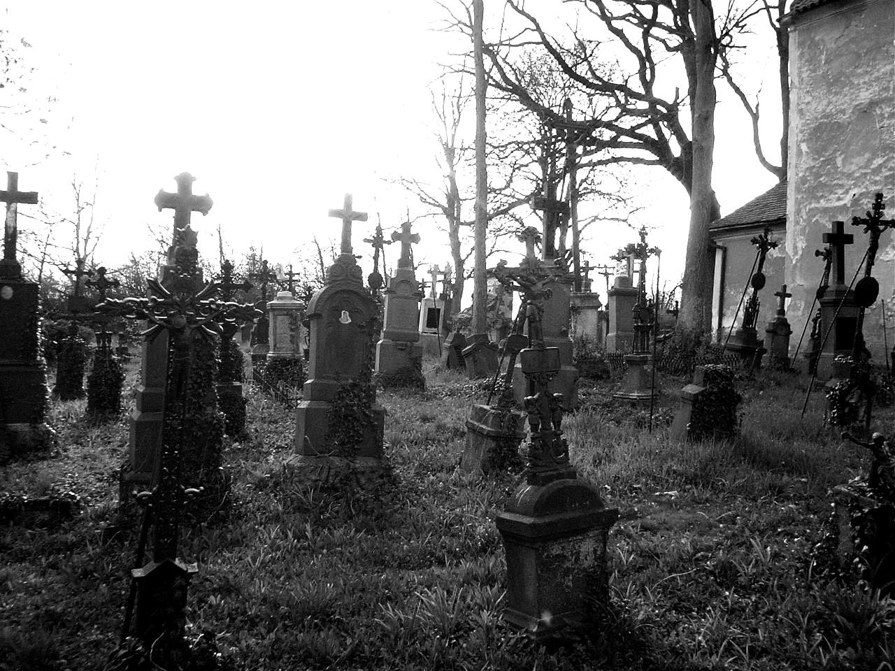 gRaveYaRd