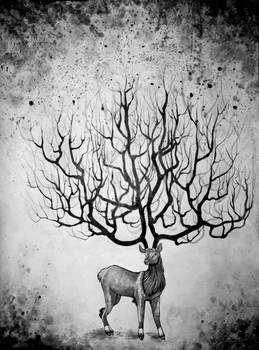 tree deer