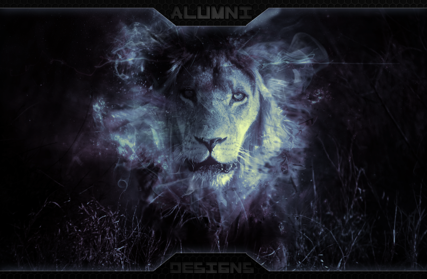 Lion Backgrounds by Alumni-Designs on DeviantArt