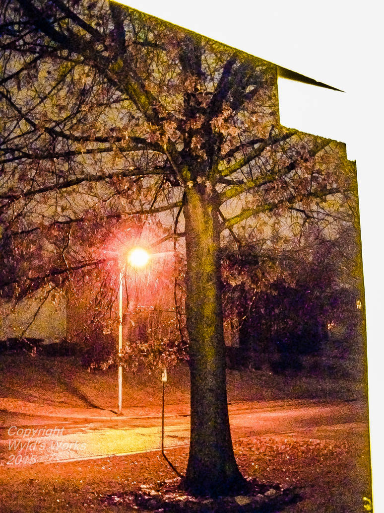 Merging Dimensions and the Tree People by wyldflwr2013 on DeviantArt