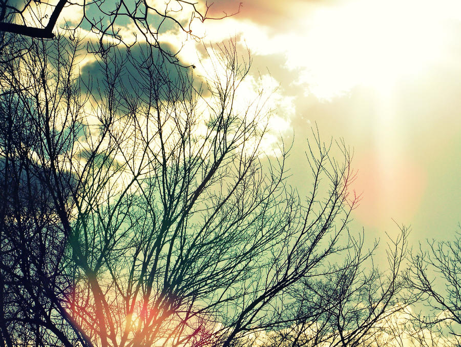 Spring, Hurry. by xKristinKonfusionx on DeviantArt