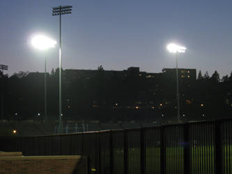 Sproul Looms