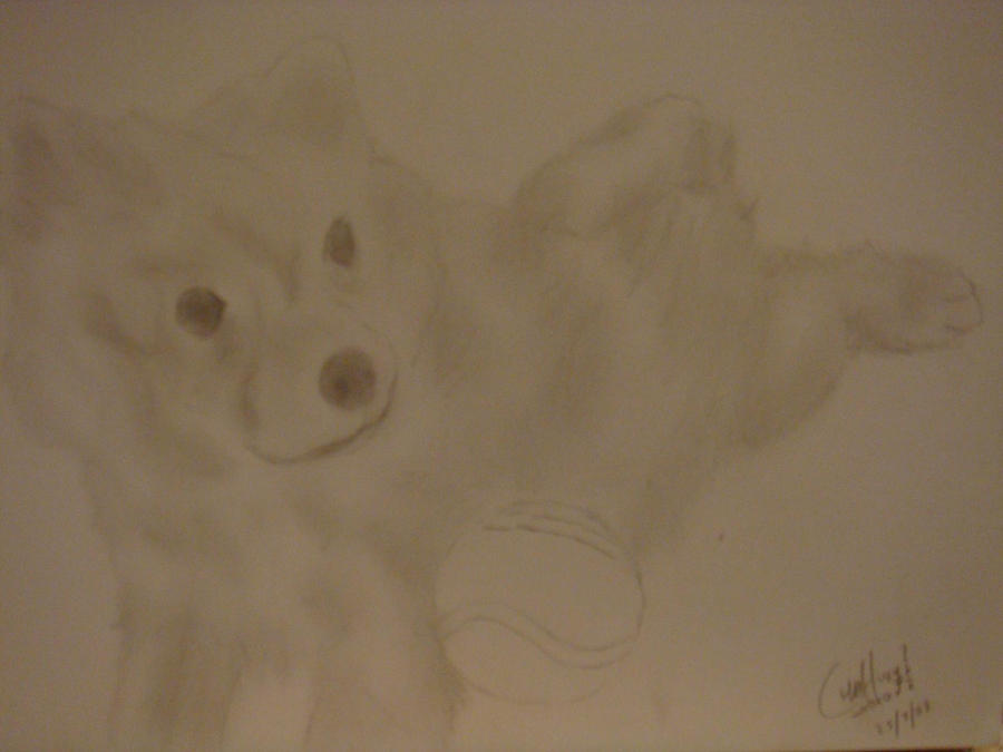 Baby Roxy by jLch on DeviantArt