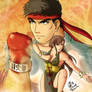 Street Fighter V - Ryu and Chun-li