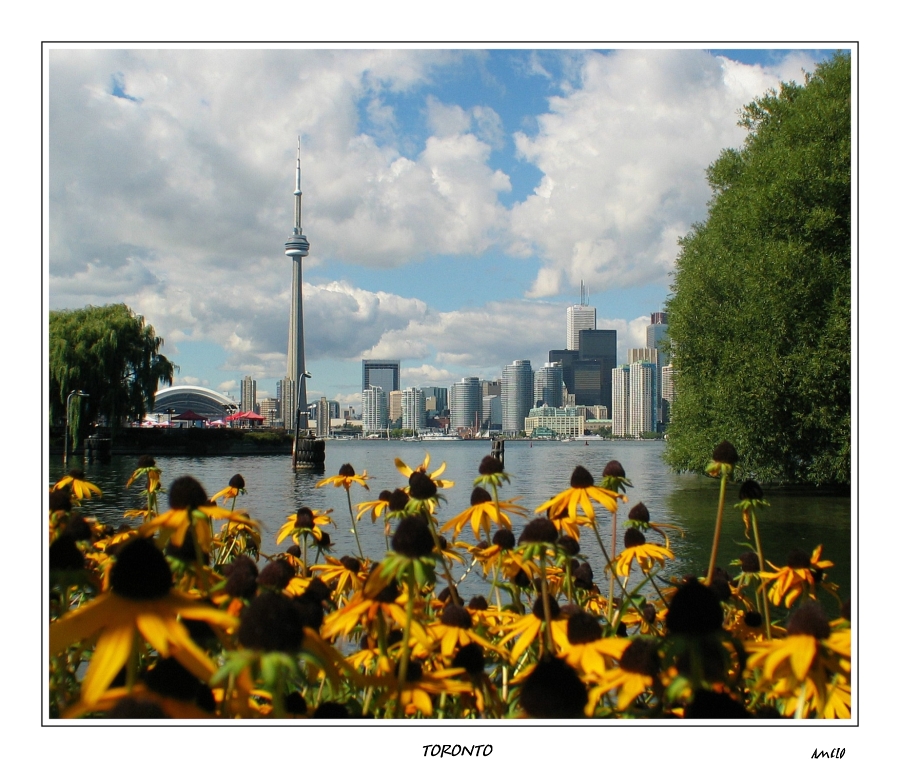 Toronto Islands