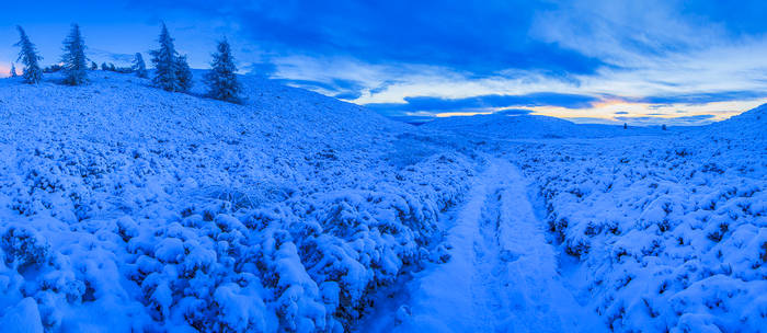 Smugglers Road, Auchterhouse Hill