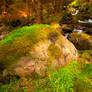 Burn of Adielin, Glen Clova