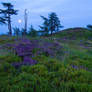 Summer Moonrise, Auchterhouse Hill