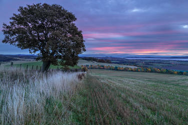 Dundee at Dawn