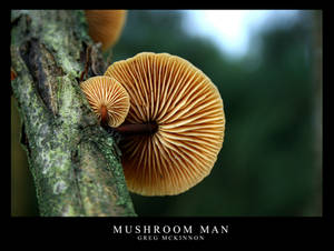 Mushroom Man II