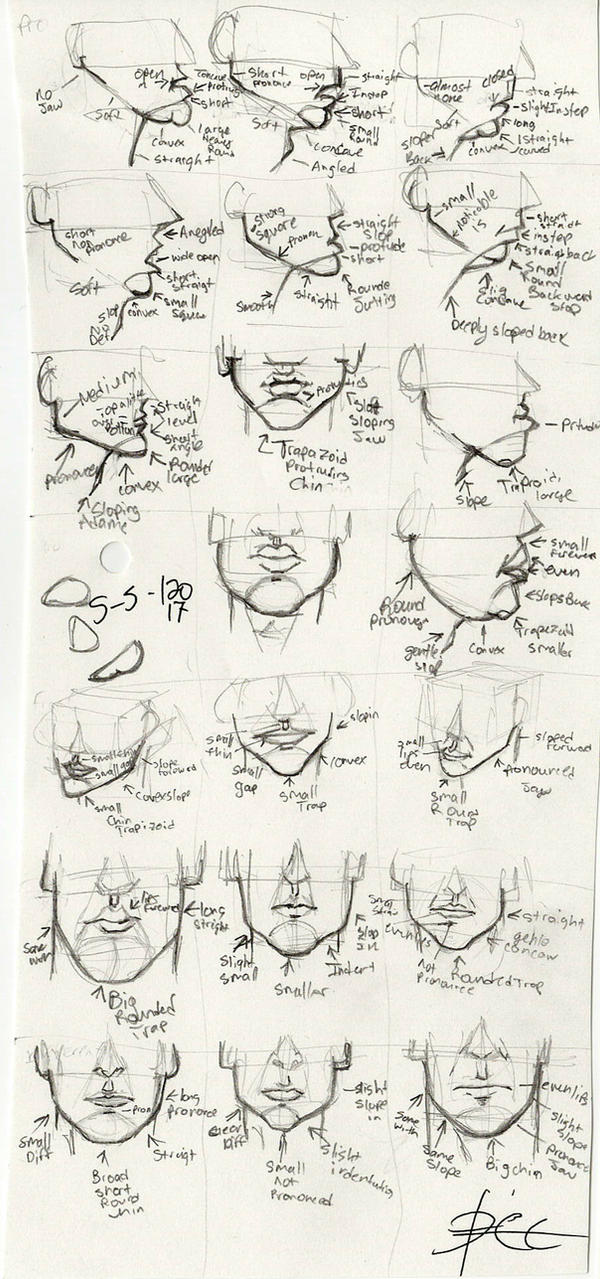Draw Jaw Tutorial Learning to Draw: The Mouth + Jaw 3 by MorbidDinosaur on DeviantArt