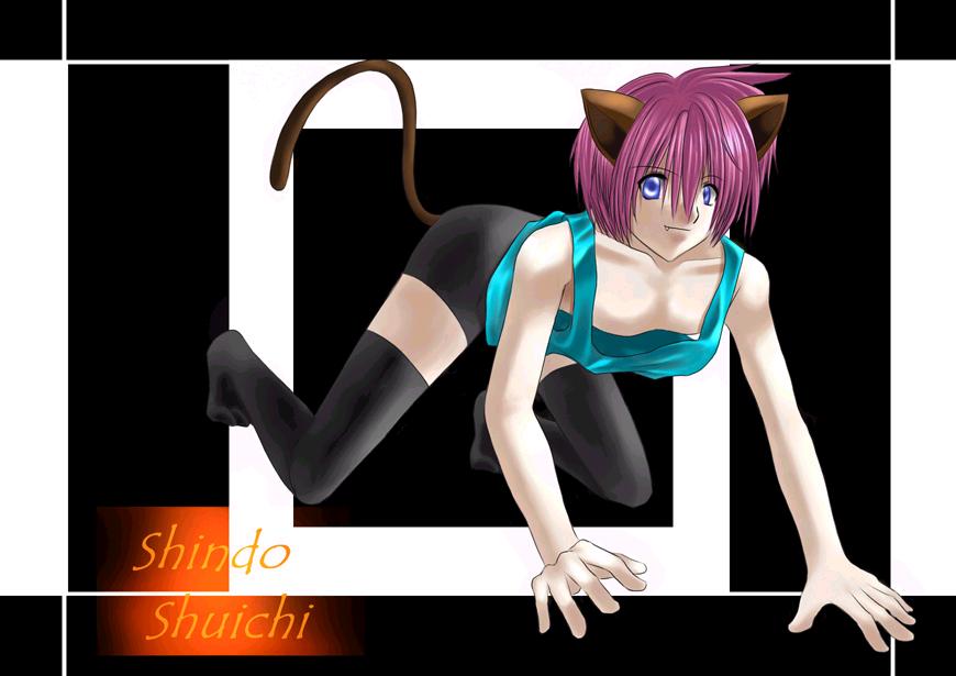 Kitty Shuichi