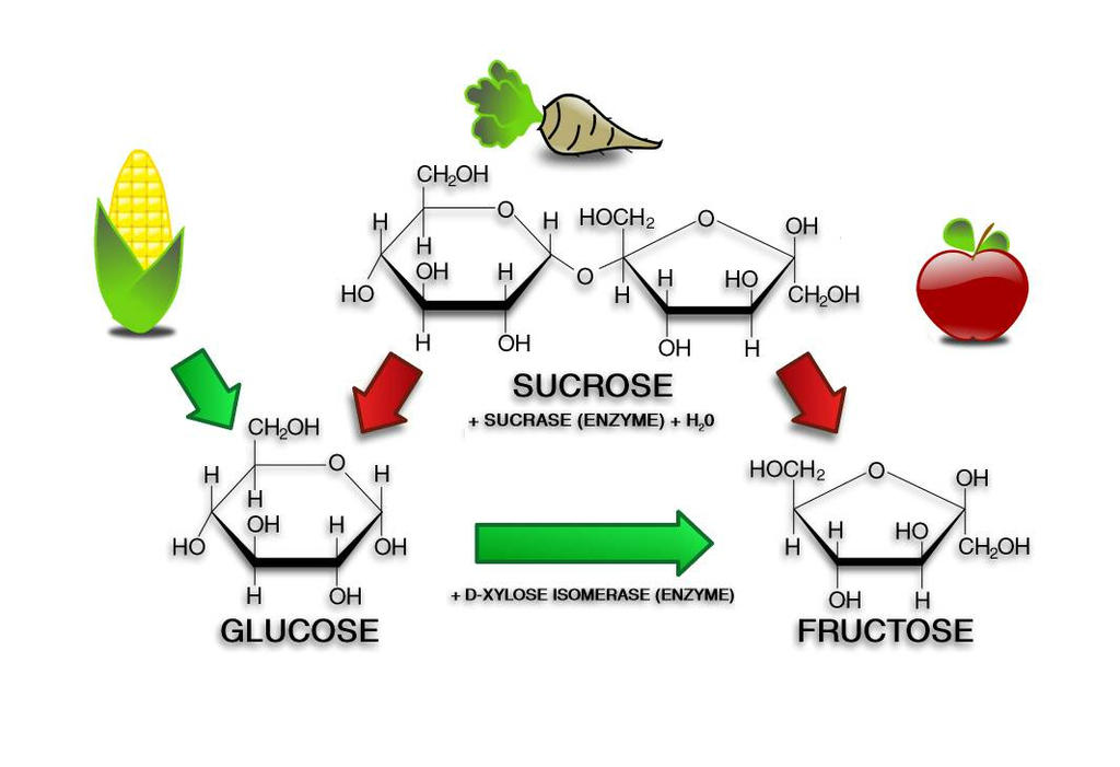 High Fructose Corn Syrup Infographic by tronvillain on DeviantArt