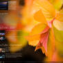Colors Desktop