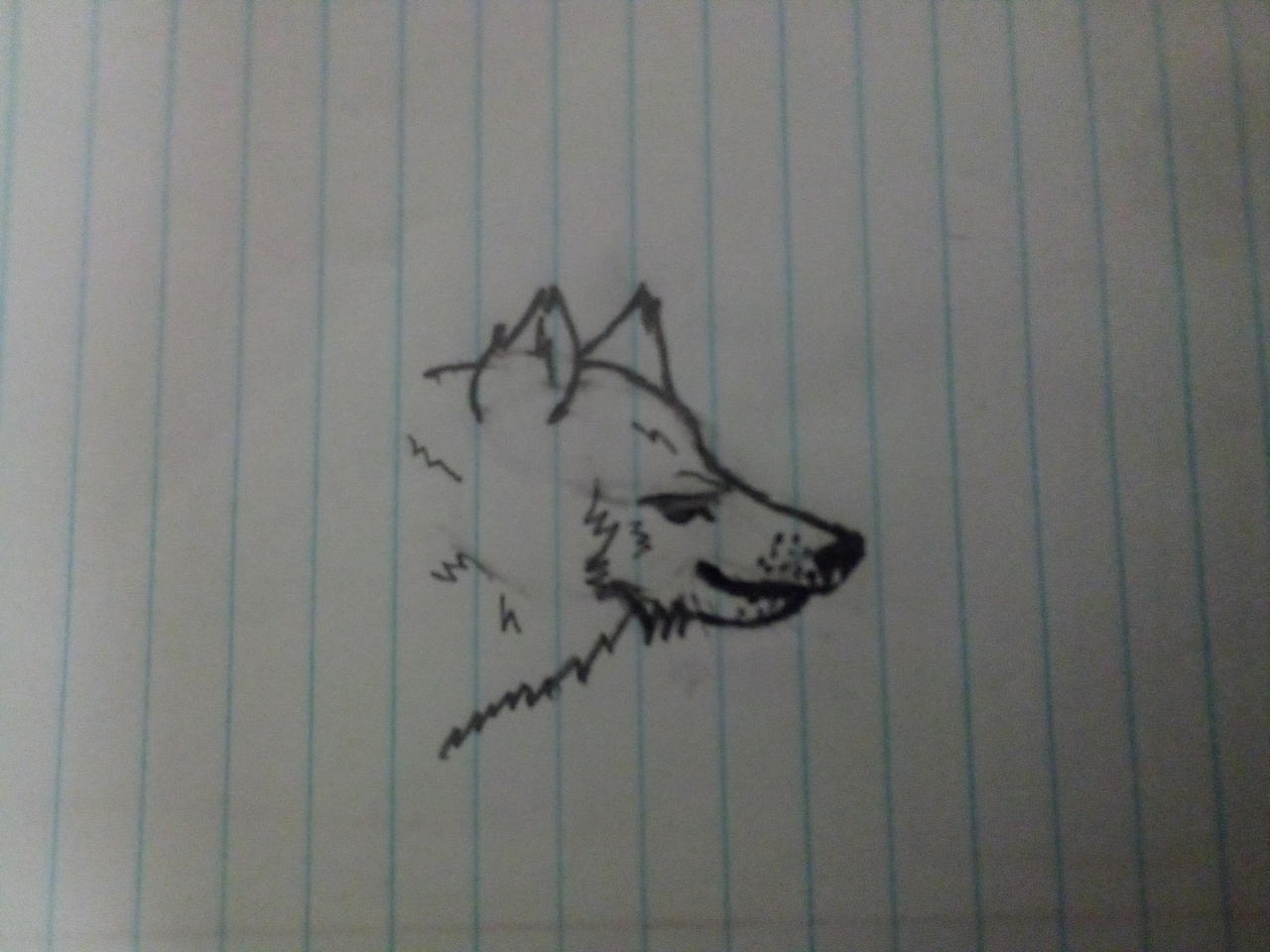 Wolf drawing