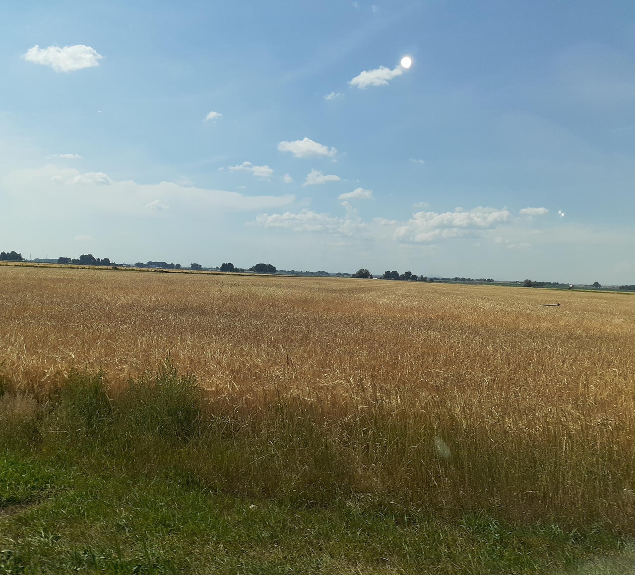 Through the countryside