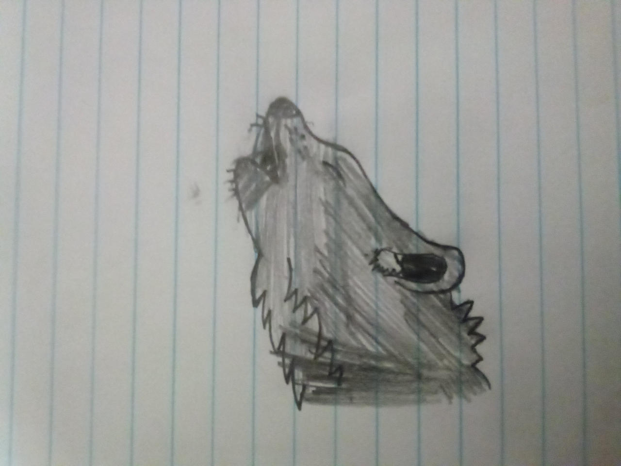 Wolf drawing 2