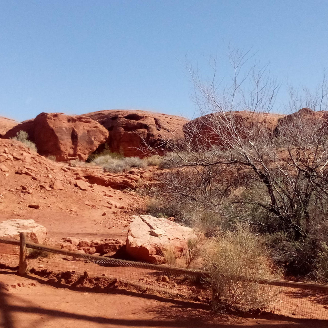Red rocks