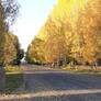 Autumn photograph