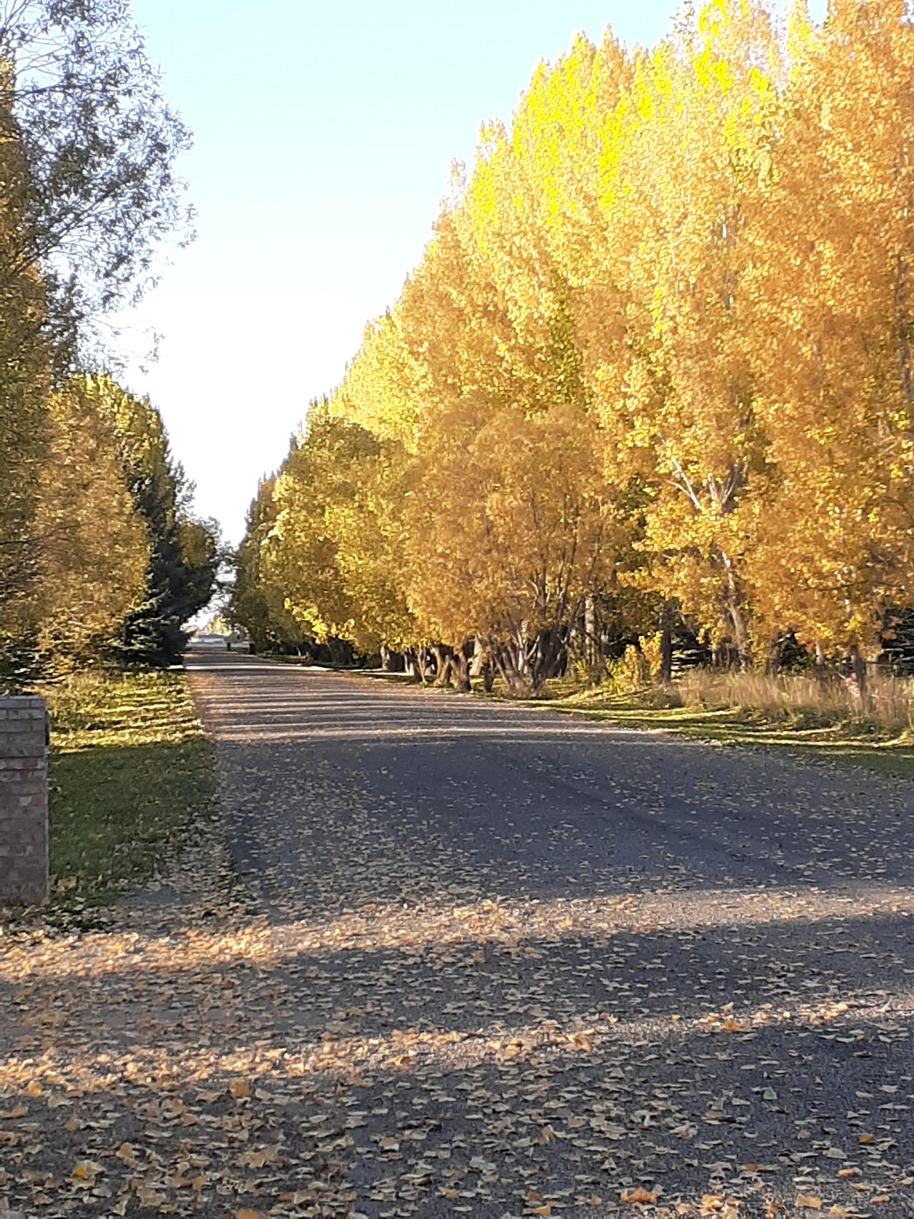 Autumn photograph