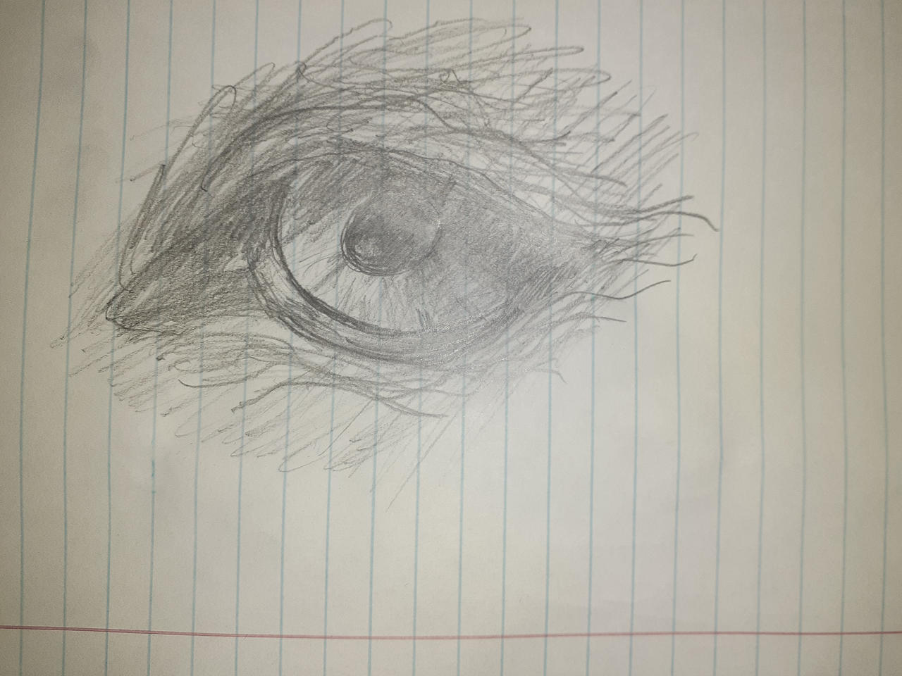 Wolf eye drawing