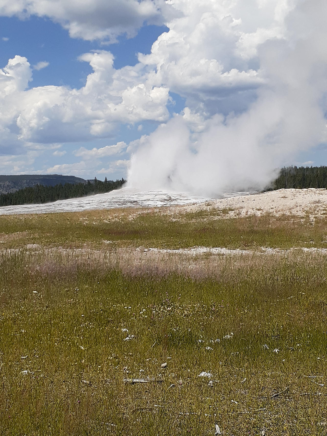 Old Faithful