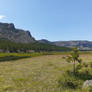 Yellowstone