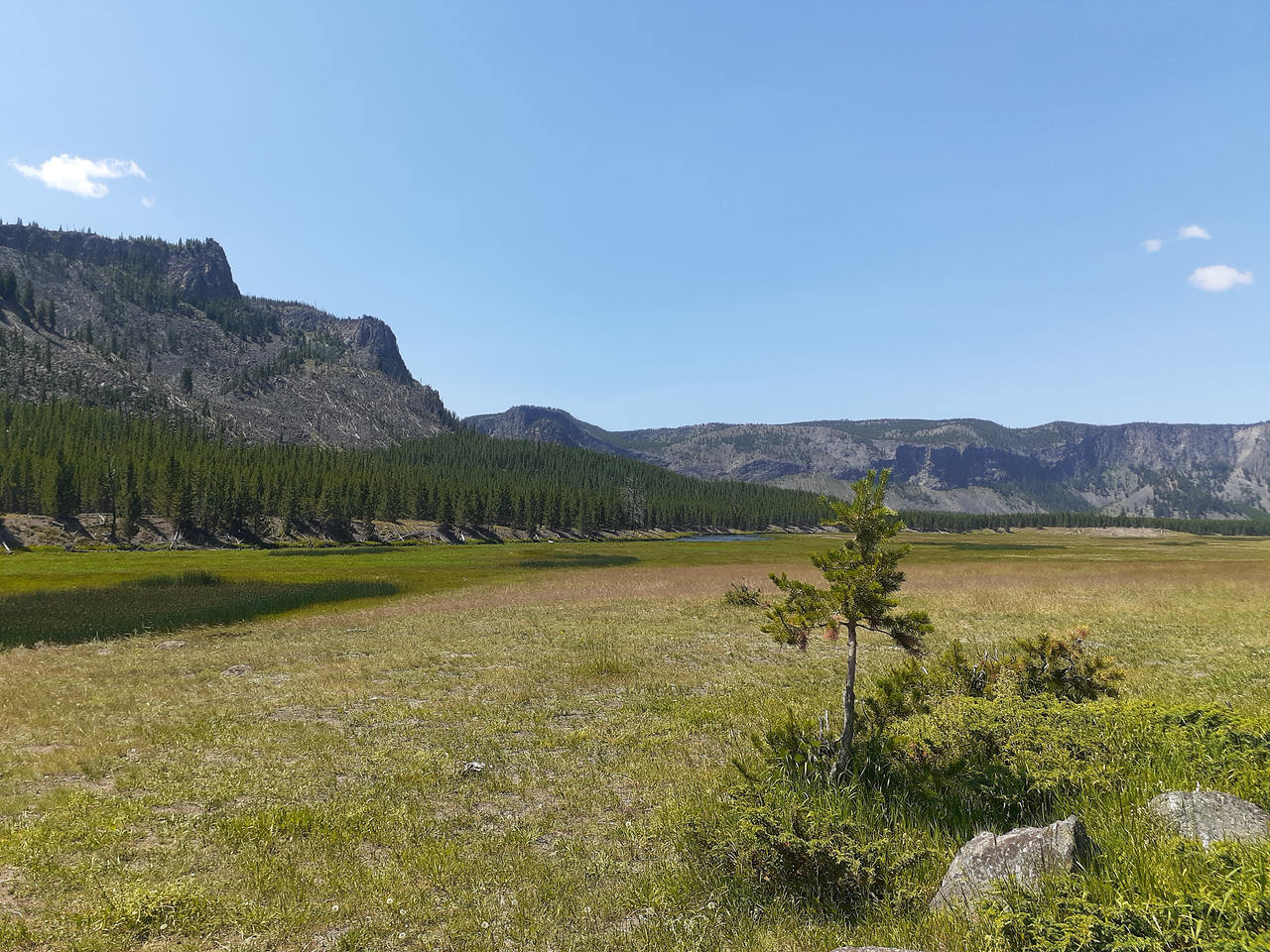 Yellowstone