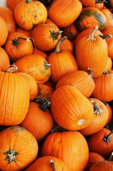 Pumpkins