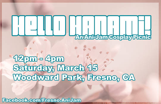 Hanami Meetup Flier